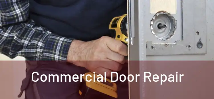  Commercial Door Repair 